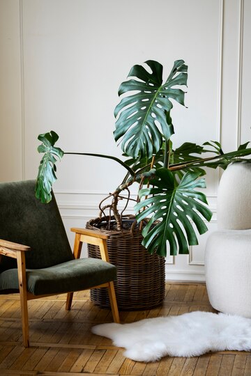 Bring in Plants: Minimalism interior design